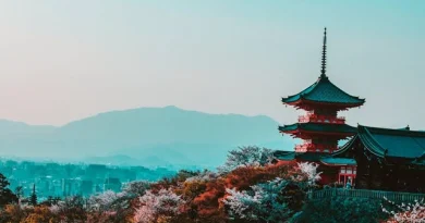 Métodos japoneses para vivir mejor Ikigai, Kaizen y Wabi-Sabi en tu día a día