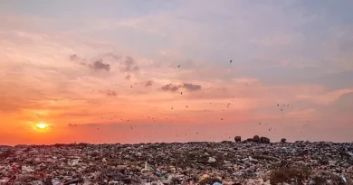 basura ropa (1)