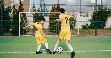 jugando a la pelota
